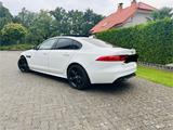Jaguar XF 30d 300PS Voll Top Zustand! - Jaguar XF: Weiß