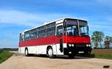 Ikarus 256 - Ikarus Linienbus