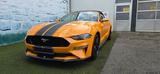 Ford Mustang GT  5.0 V8 Aut.*Leder*Navi*LED*SHZ*Kam.* - Ford Mustang mit Benzin-Antrieb: Cabrio, 5.0