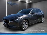 Mazda CX-30 2.0 SKYACTIV-G M Hybrid Selection Navi ACC - Mazda Gebrauchtwagen in Hamm