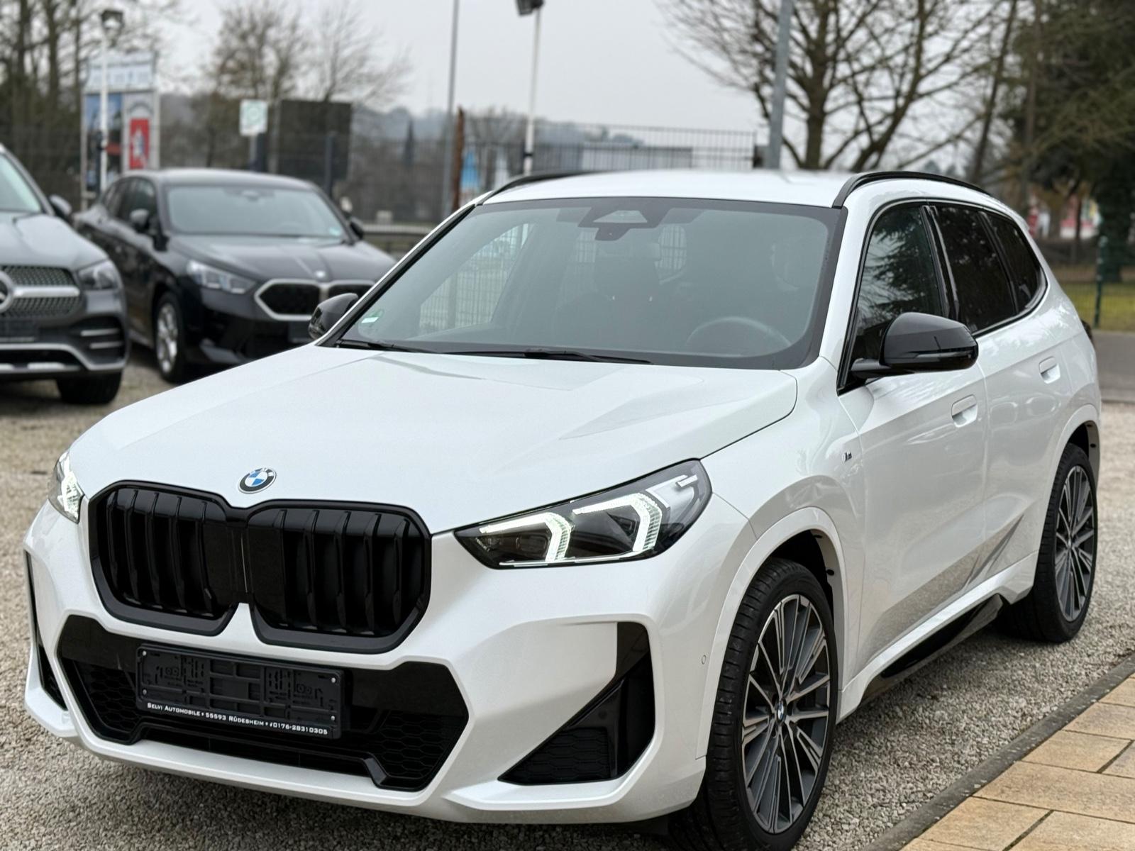 BMW X1 23d xDrive M Sport AHK h/k Memory 20 Zoll ACC