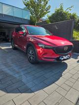 Mazda CX-5 2.5  Sports-Line, Mit Garantie, HUD, Allrad - Mazda CX-5 in Kiel