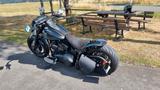 Harley-Davidson FLSTC 103 - HARLEY-DAVIDSON FLSTC