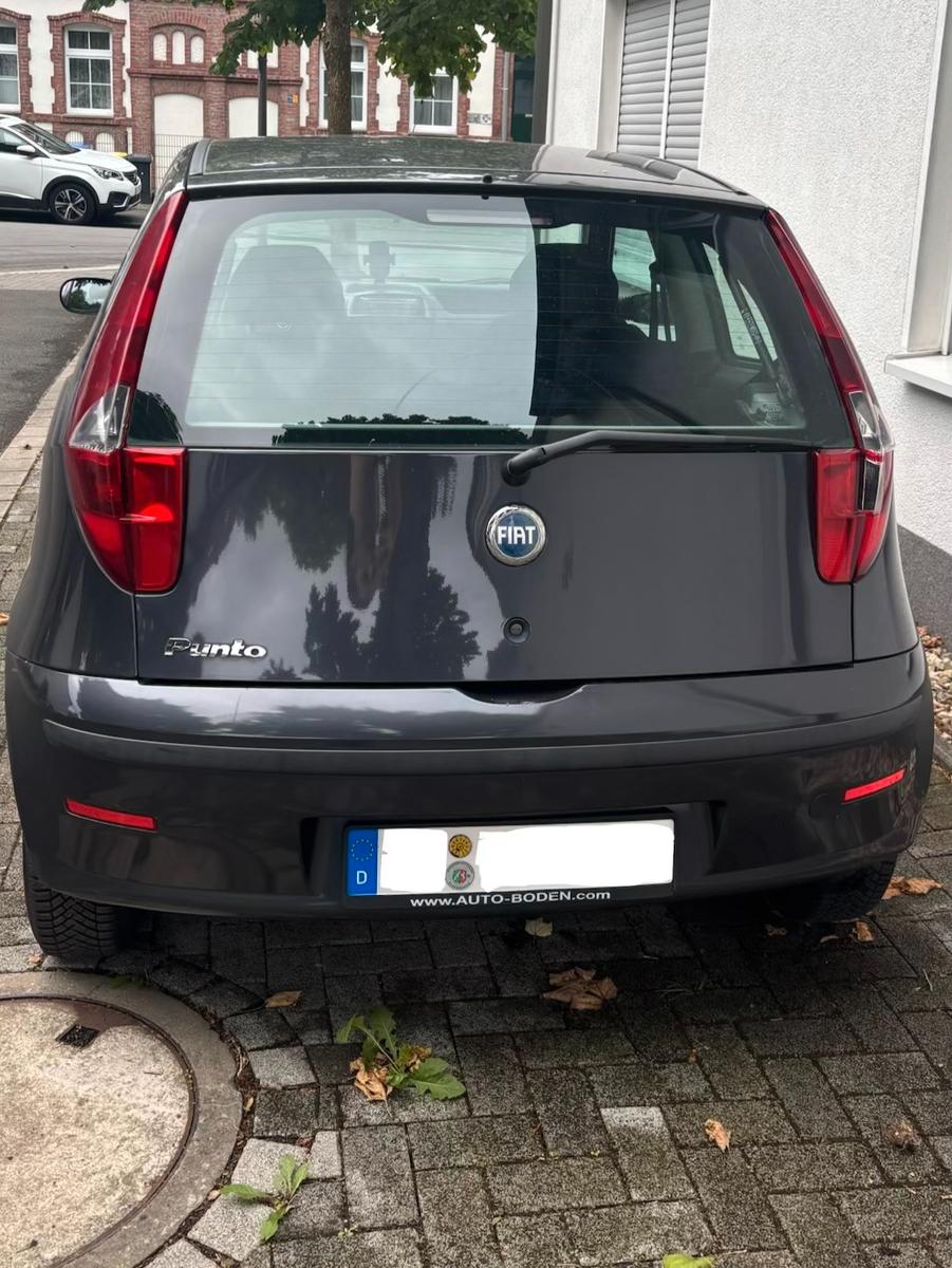 Fiat Punto 1.2 8V Dynamic 