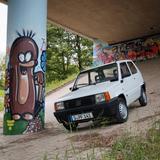 Fiat Panda Young 1999 Topauto 46.000 km unrestauriert - Fiat Panda aus 1999