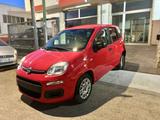 Fiat Panda 1.2 69 cv FIRE-2018 - Fiat Panda: Fire