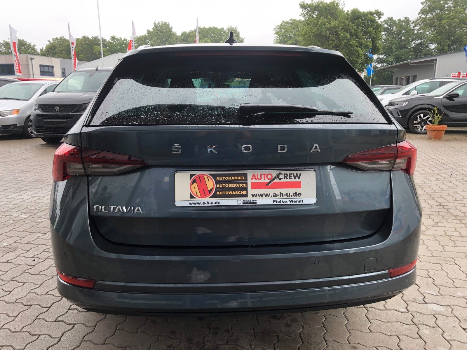 Fahrzeugabbildung SKODA Octavia Combi First Edition