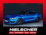 Ford Mustang SHELBY GT350 Track Package - EINZELSTÜCK - Ford Mustang: Gt350