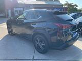 Lexus UX 250 h 2,0 Automatik /Navi/Klima/Alcantara/LED - schwarze Lexus UX