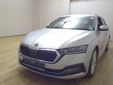 Skoda Octavia Kombi 1.5 TSI First Ed. Leder Navi LED - : Silber, Kombi