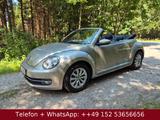 Volkswagen Beetle Cabriolet Design *Klima-Navi-71000 km!* - Volkswagen Beetle mit Diesel-Antrieb: Cabrio