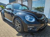 Volkswagen Beetle Cabriolet Sound NAV KAM TEMP SHZ - Volkswagen Beetle aus 2017