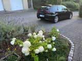 Alfa Romeo 156 3.2 V6 24V GTA Sportwagon - Collezione! - Alfa Romeo 156: Sportwagon