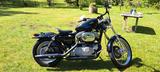 Harley-Davidson Sportster 883 Custom XL53C - HARLEY-DAVIDSON SPORTSTER CUSTOM 53