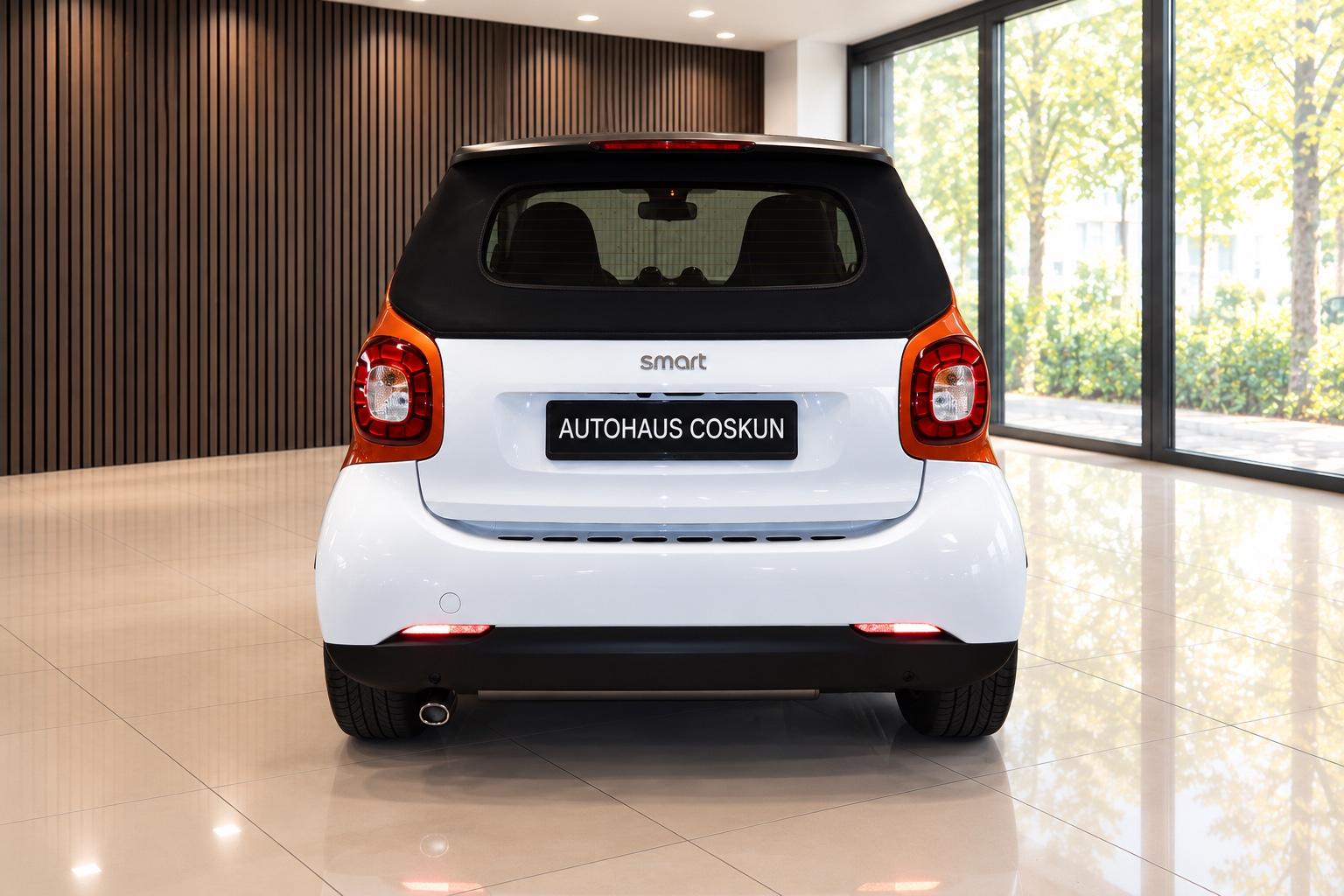 Smart Cabrio Passion 66 kW NAVI|Sitzh.|Kamera