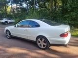 Mercedes-Benz Mercedes CLK 430 - Mercedes-Benz CLK 430: Coupe
