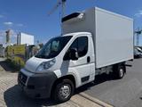 Fiat Ducato 250 Kühlkoffer LBW - Fiat Ducato l 250