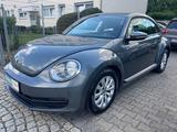 Volkswagen Beetle Lim. Basis /Klima El Fensterheber - gebrauchte Kleinwagen in Lünen