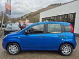 Fiat Panda 1.0 Pandina Icon Klima PDC Bluetooth Temp. - Fiat Panda: Pandina