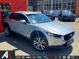 Mazda CX-30/LED/HUD/SHZ/RFK/ - Mazda Gebrauchtwagen in Freiburg