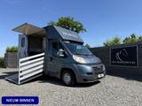 Peugeot Boxer | HORSETRUCK | GUILLAUME | PRO SAFETY 3XL - Peugeot Koffer