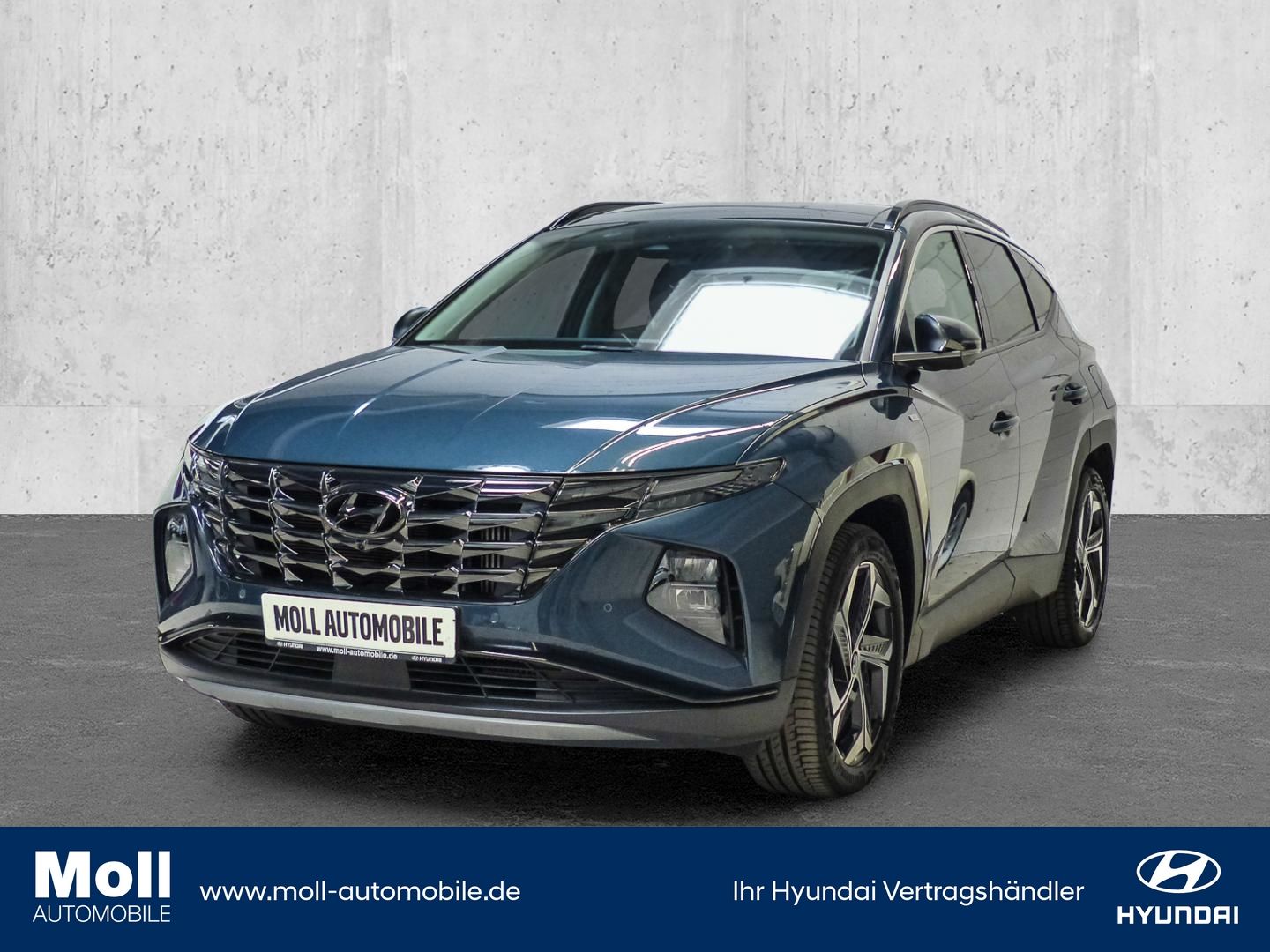 Hyundai Tucson Prime Mild-Hybrid 4WD El. Panodach Navi L
