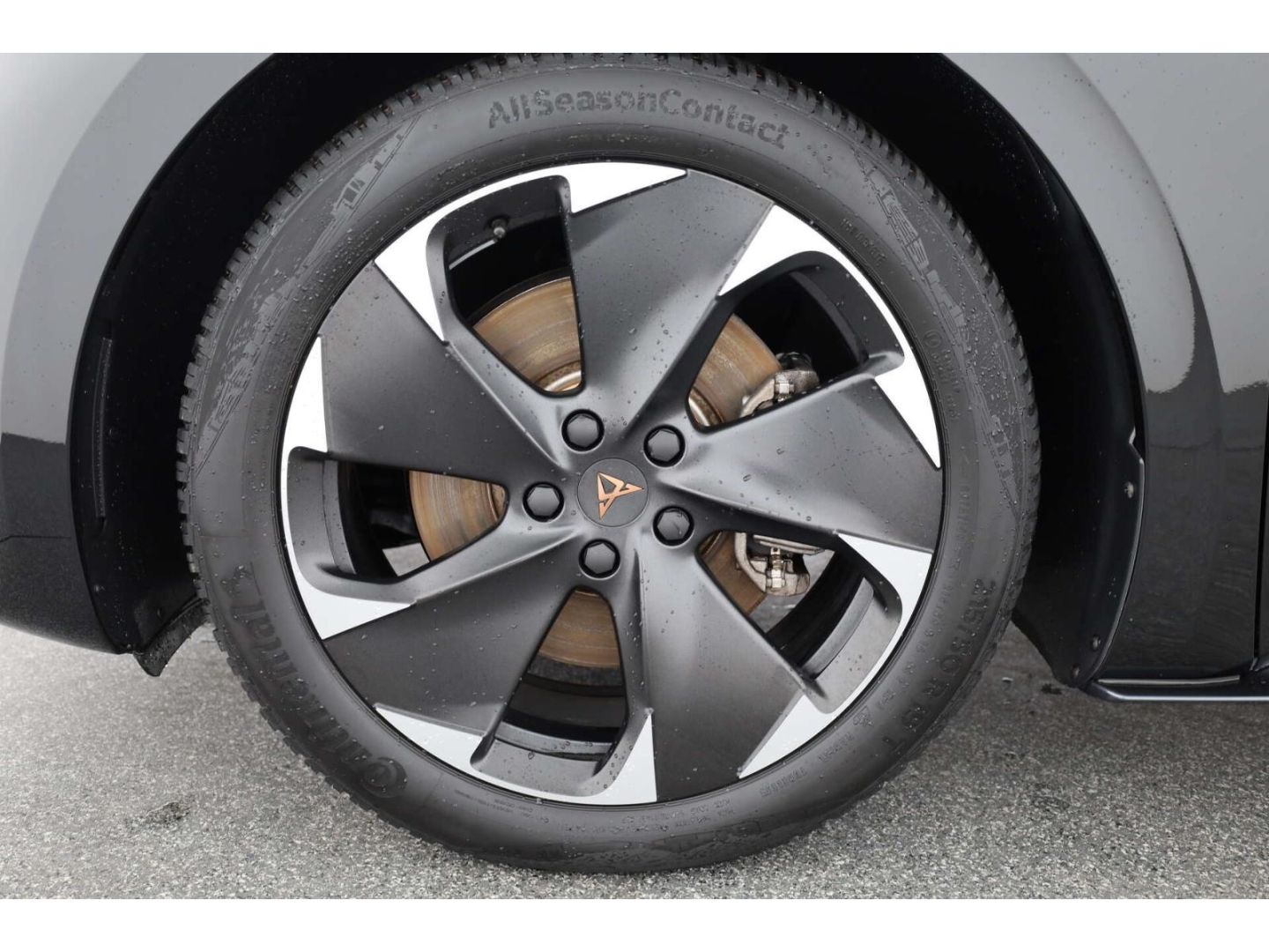 Cupra Born - Bild 8