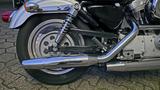 Harley-Davidson 883 XL Sportster  Limited 100 Year 2.Hand - HARLEY-DAVIDSON XL 883L SPORTSTER