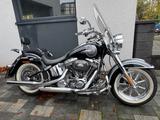 Harley-Davidson 5HD.. Softail Deluxe CVO FLSTNSE - HARLEY-DAVIDSON FLSTN SOFTAIL DELUXE