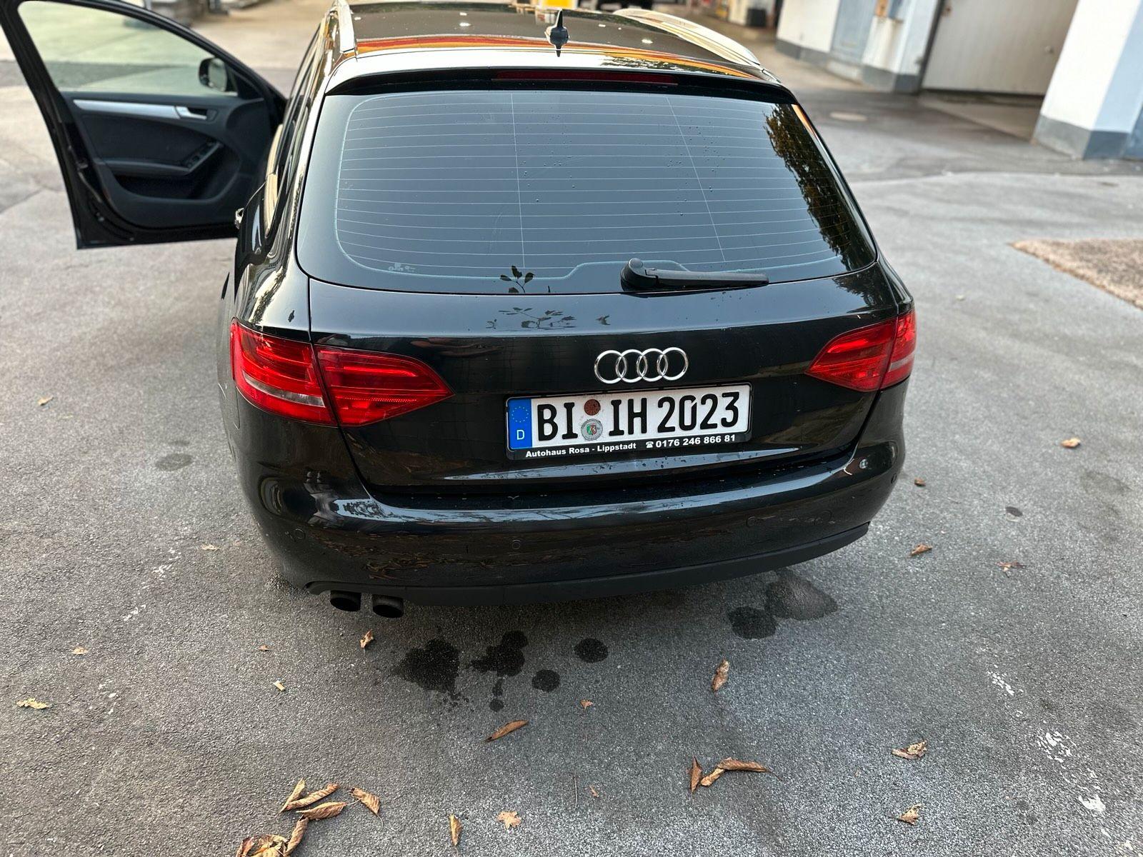 Audi A4 2009 — photo 6