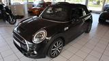 MINI Cooper S Cabrio *Automatik*191PS*LEDER*RÜ-KAM* - schwarze MINI Cooper S Cabrio