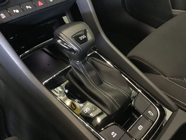 Fahrzeugabbildung Skoda Karoq Sportline 1.5 TSI DSG/Navi/DCC/ACC/4xSHZ