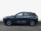 Ford Kuga 2.0 EcoBlue Aut. ST-LINE X - Ford Kuga mit Diesel-Antrieb: Automatik