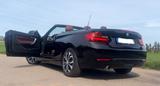 BMW 218i Cabrio | nur 64.800 km | Leder | gepfl. - BMW: Cabrio, Bmw6