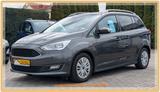 Ford Grand C-Max Cool & Connect AUTOM AHK NAVI WP PDC - gebrauchte Ford Grand C-Max aus dem Jahr 2018