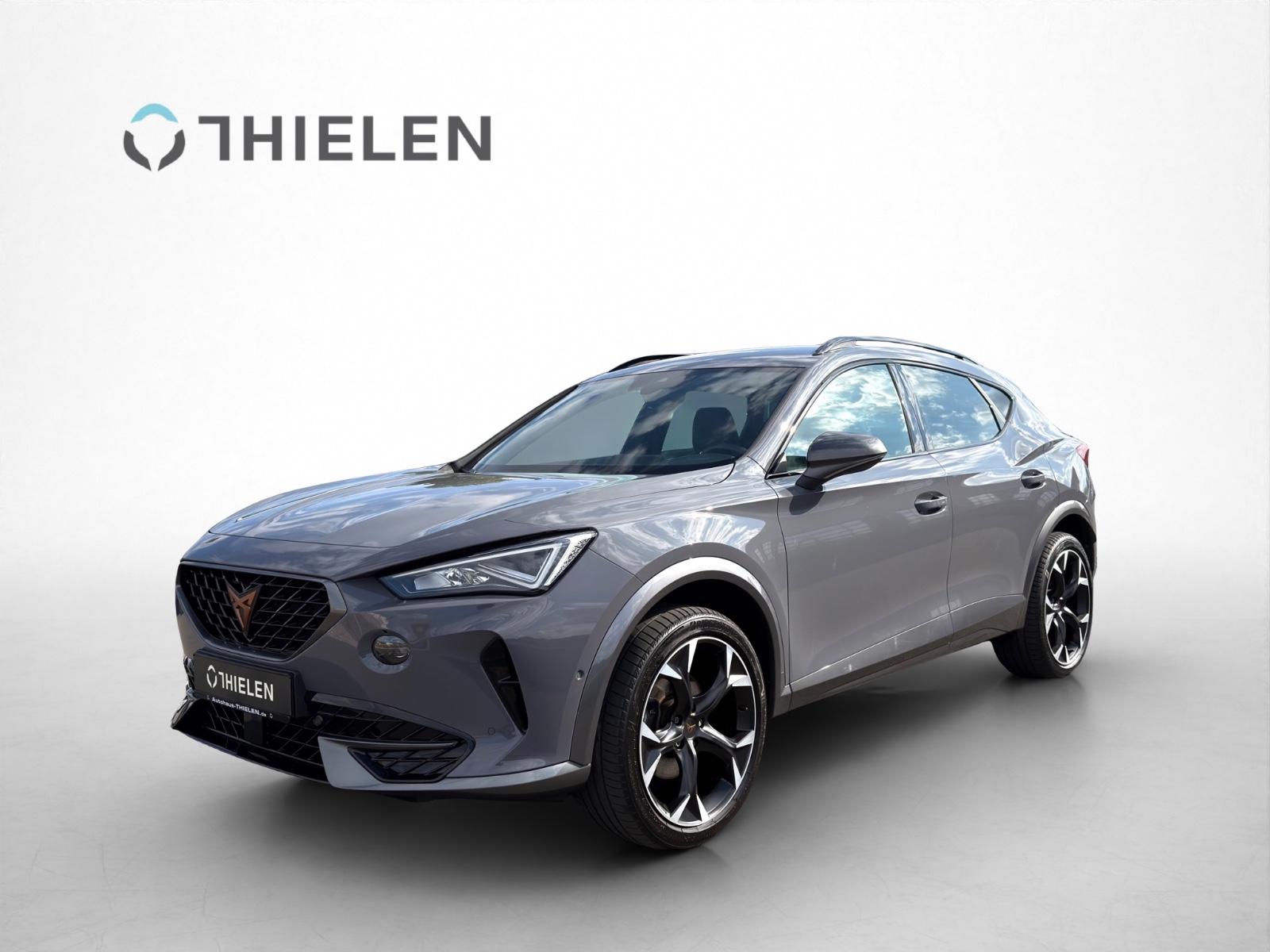 Cupra Formentor 2.0 TSI 4Drive/Navi/SHZ/19 Zoll/ACC