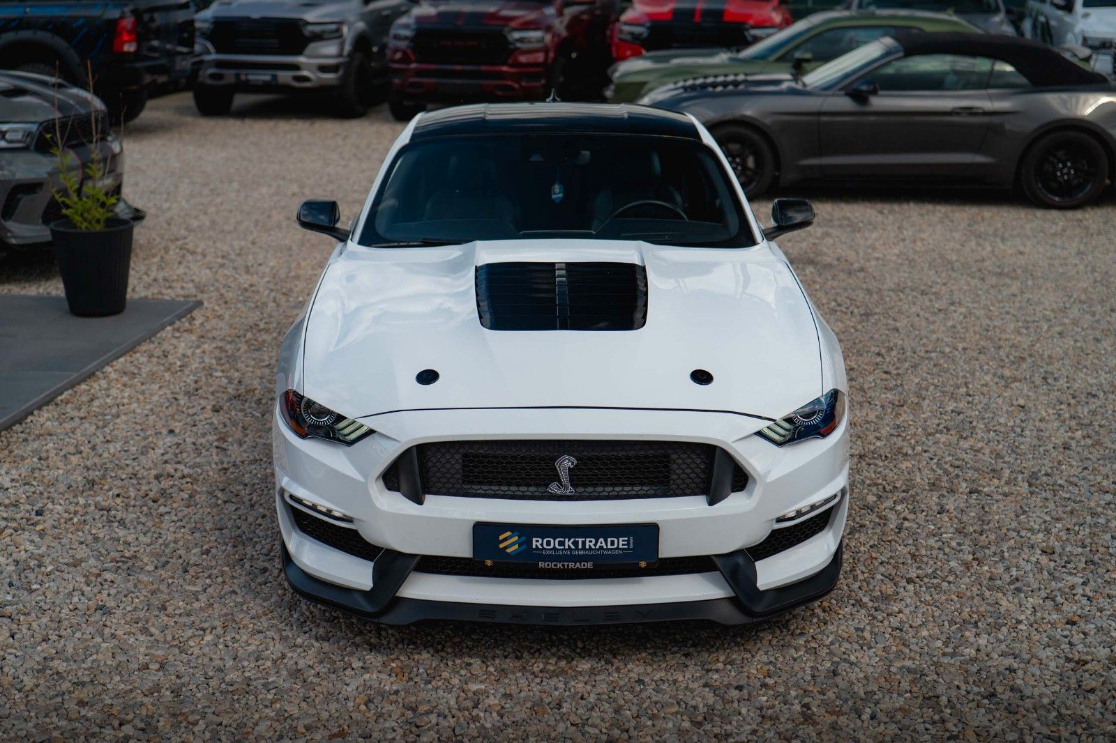 Fahrzeugabbildung Ford Mustang Shelby GT 500 5.0 V8 Performance PREMIUM