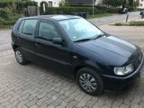 Volkswagen VW Polo xxl - Volkswagen Polo: Xxl