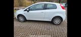 Fiat Punto - Fiat Punto Gebrauchtwagen in Stuttgart