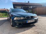 BMW 530i Oxfordgrün M-Paket Xenon Gewindefahrwerk - BMW 530 aus 2000: 530i