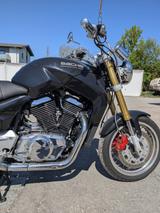 Sachs Rarität mit V2-Power: Sachs Roadster 800 (2004)  - SACHS MOTORRAD