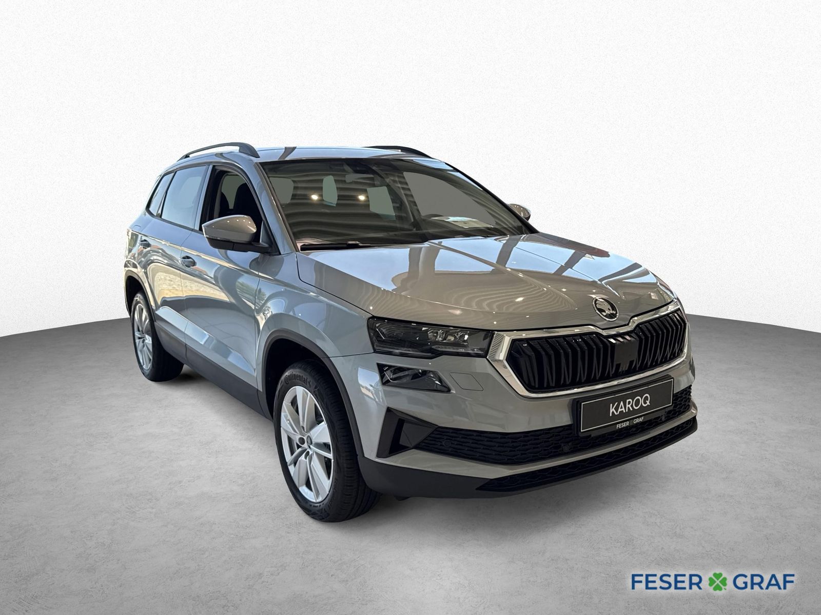 Skoda Karoq - Bild 3