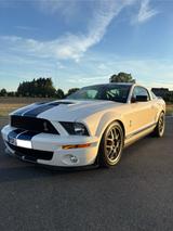 Ford Mustang Shelby GT 500 SVT - Ford: Svt
