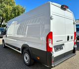 Fiat Ducato H2 Kastenwagen 35 L5H2 180 Multijet Maxi - Fiat Ducato: 2.5