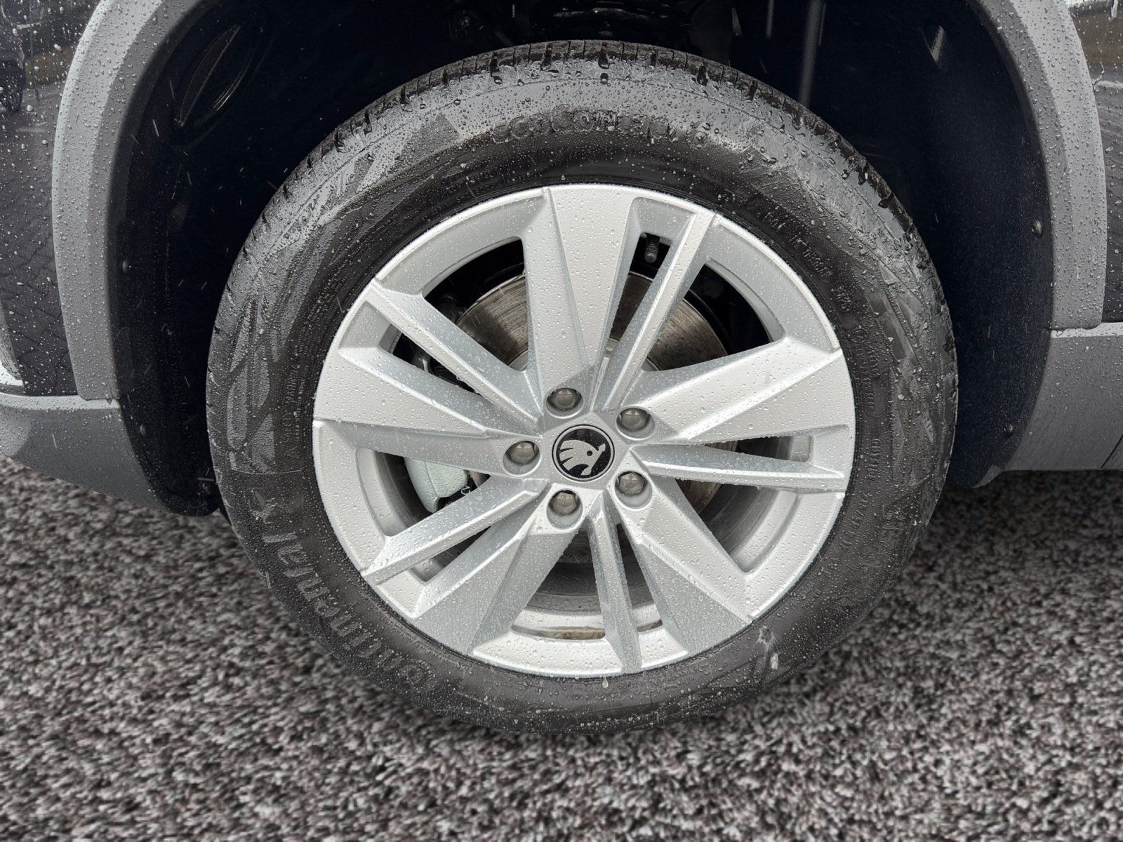 Skoda Karoq - Bild 8