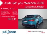 Audi SQ5 - Vorschau Bild 3