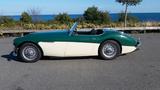 Austin Healey Andere - : Benzin Cabrio 1958