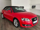 Audi A3 Cabriolet Ambition AHK+KLIMA+SHZ+LEDER+TEMPO - Audi A3: Rot, Leder