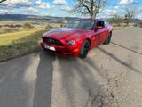 Ford Mustang 3,7L premium  - Ford Mustang: Premium