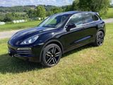 Porsche Cayenne Platinum Edition Tiptronic  - Porsche mit Benzin-Antrieb: Leder